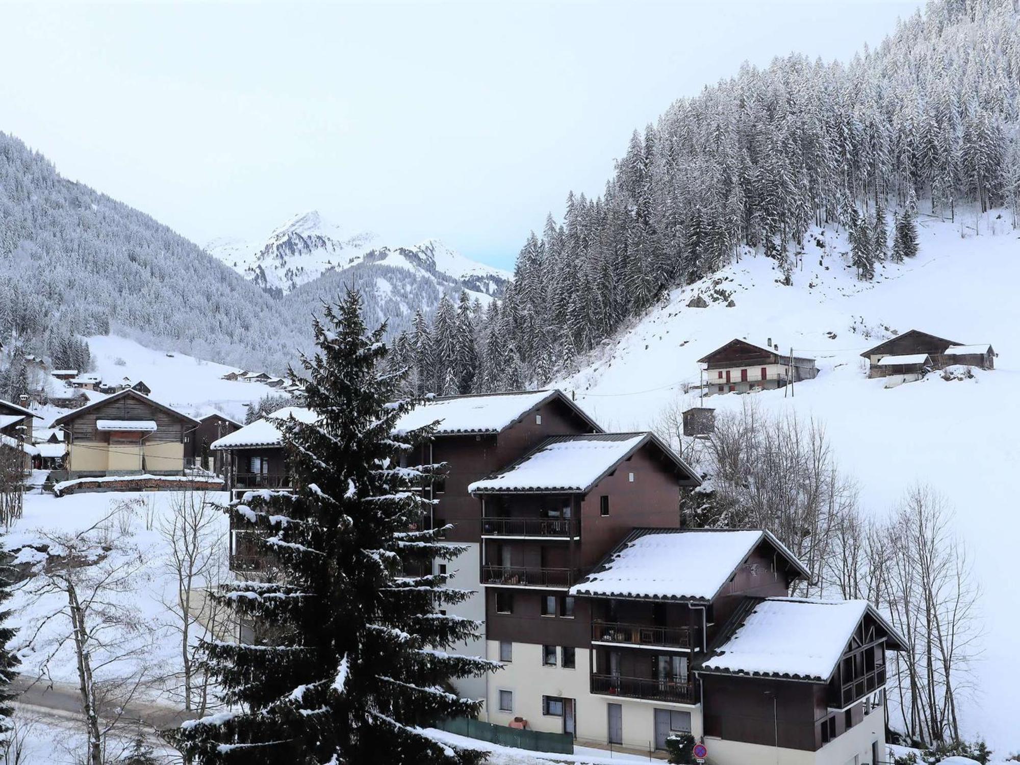 Appartement Cosy Pour 4, Au Coeur Du Village, Proche Des Pistes Et Avec Piscine Estivale - Fr-1-342-173 Arêches Εξωτερικό φωτογραφία